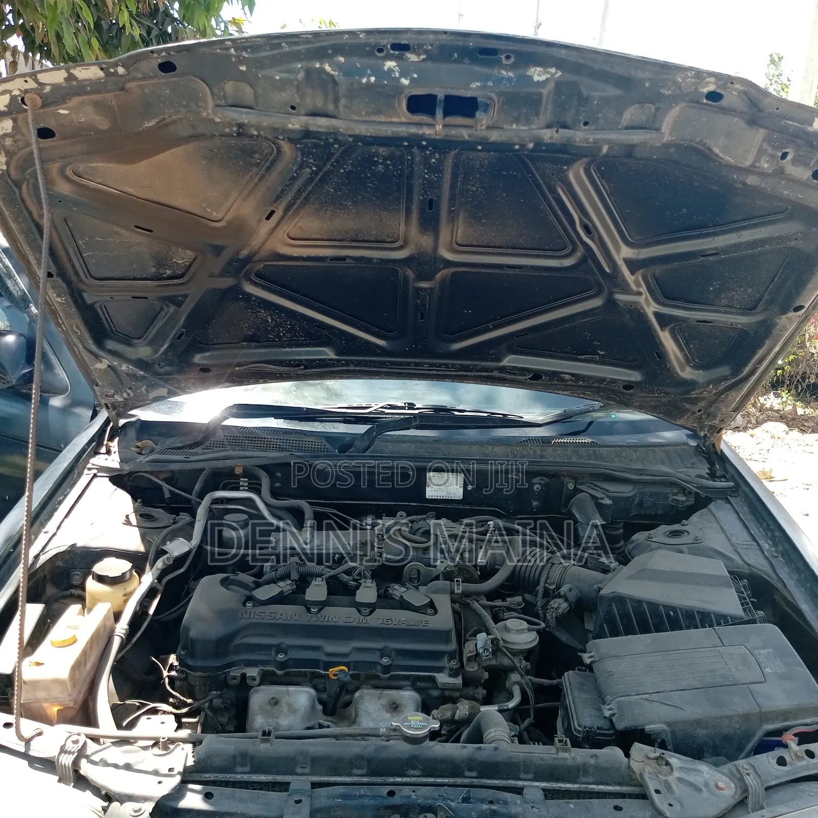 Nissan FB15 2004 Blue
