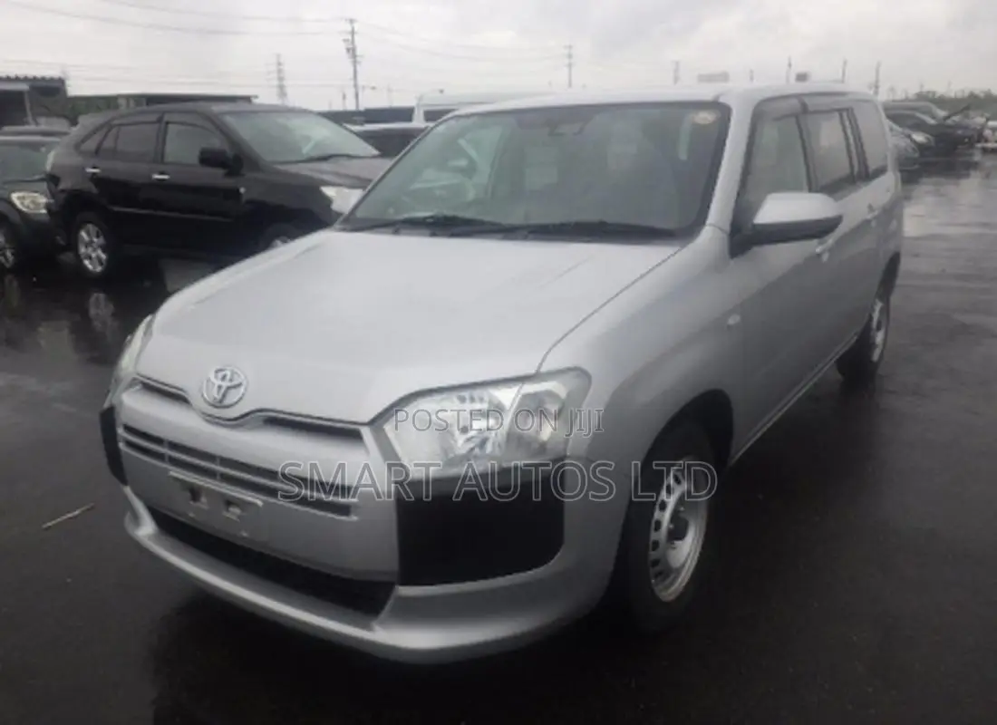Toyota Probox 1.3 DX 2WD 2021 Silver