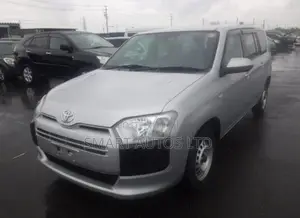 Toyota Probox 1.3 DX 2WD 2021 Silver
