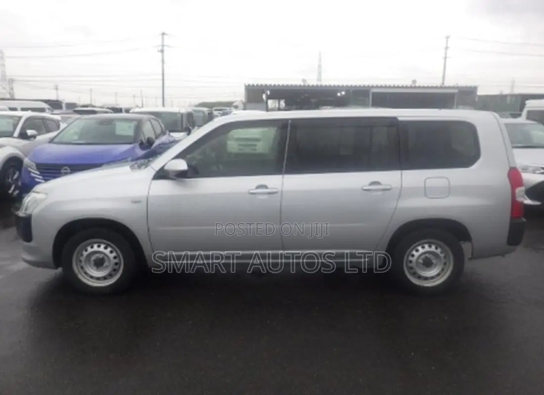 Toyota Probox 1.3 DX 2WD 2021 Silver
