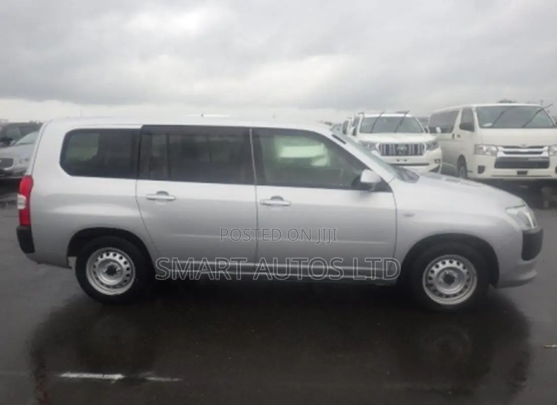 Toyota Probox 1.3 DX 2WD 2021 Silver
