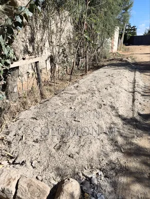 Chicken Manure