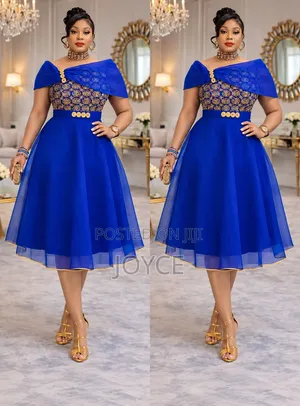 Net Skater Dress