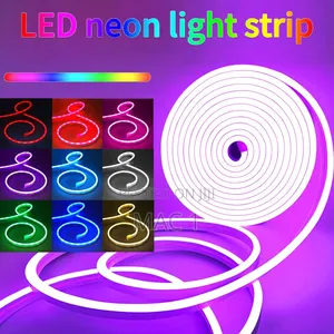 Multicolor LED Neon Rope Light With Remote