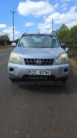 Nissan X-Trail 2.0 2008 Silver