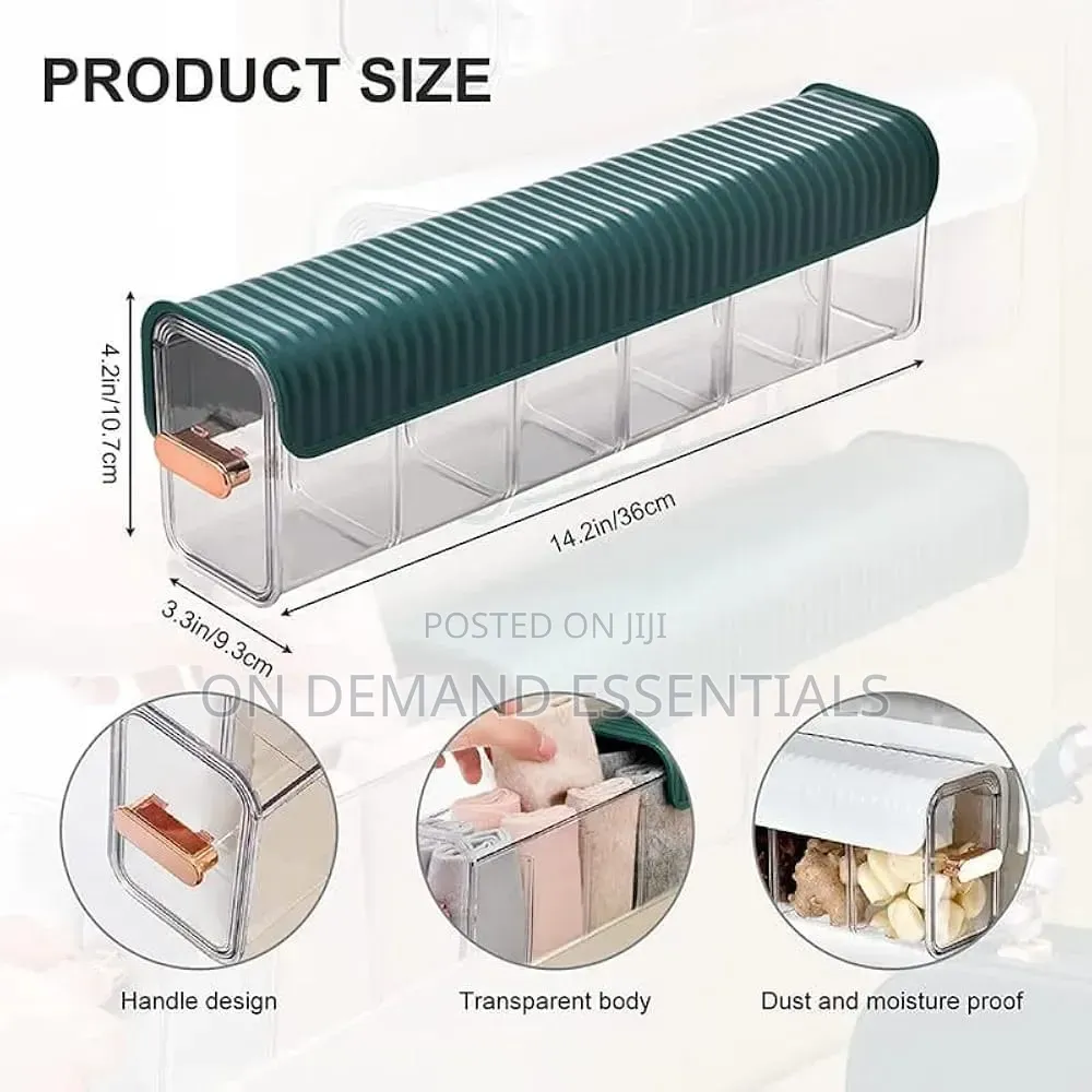 Wall Mounted Undergarment Organizer