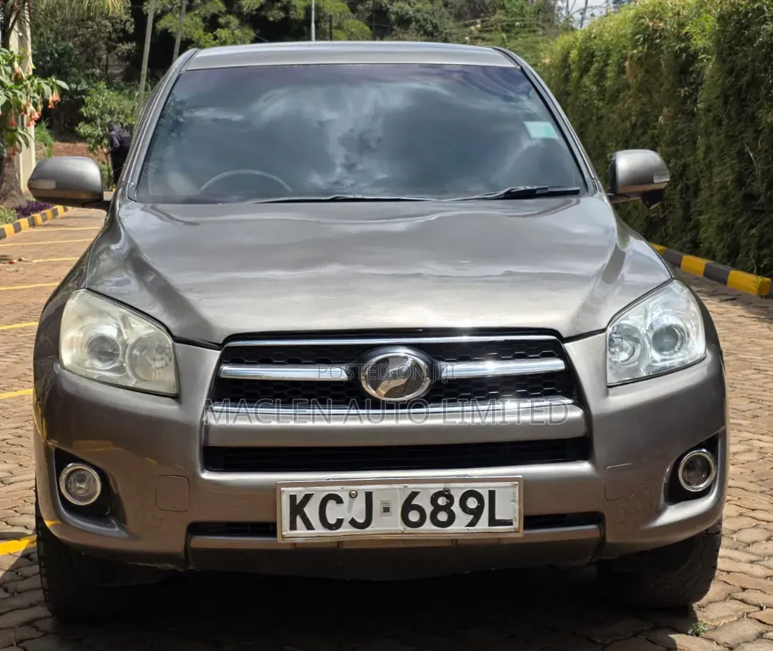 Toyota RAV4 2009 Gray