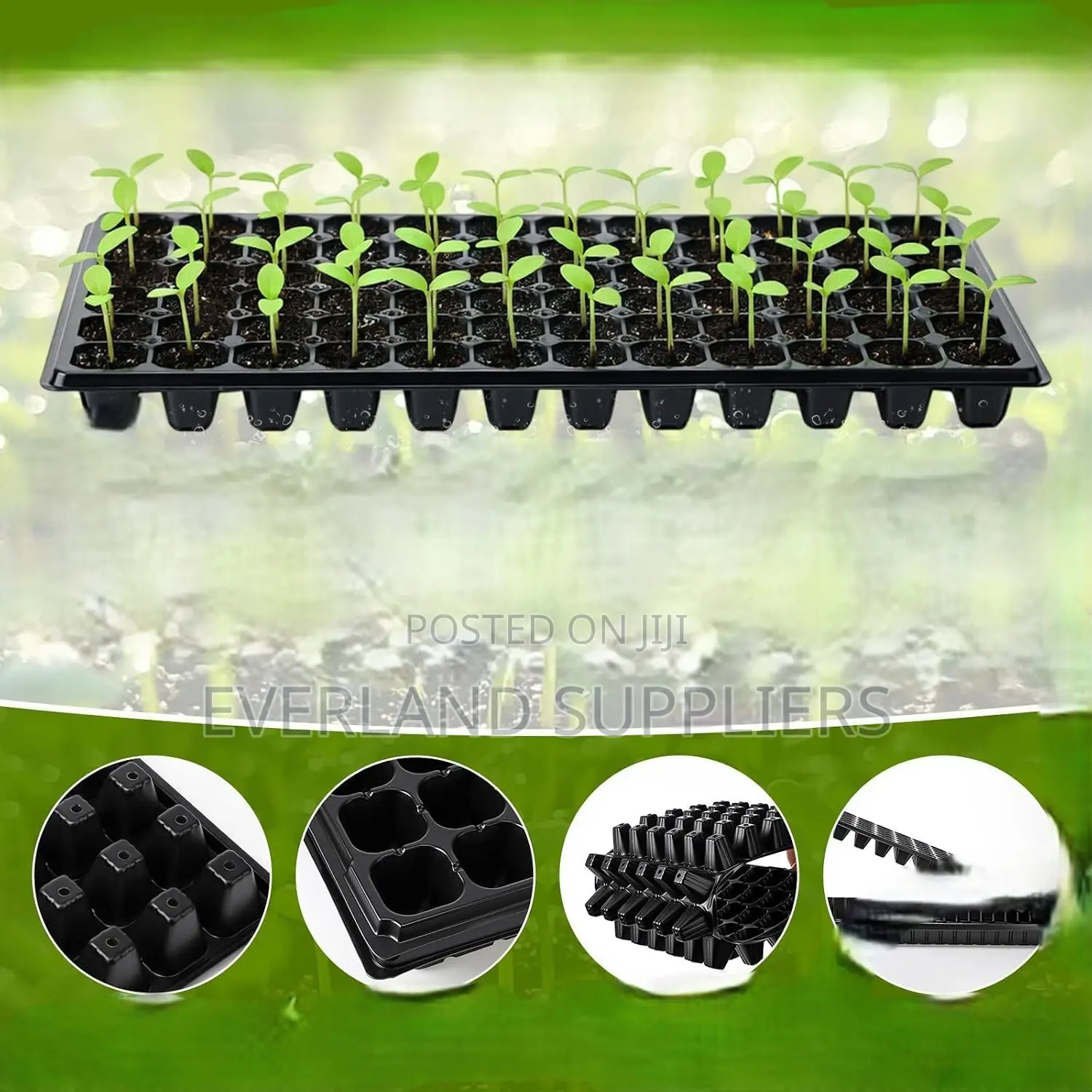 Plant Propagation Seedling Trays - Wholesale