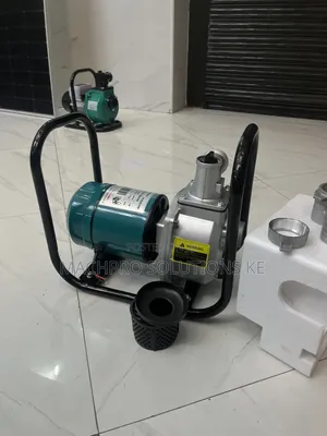 Premier 900W 96V DC Solar Surface Pump for Irrigation