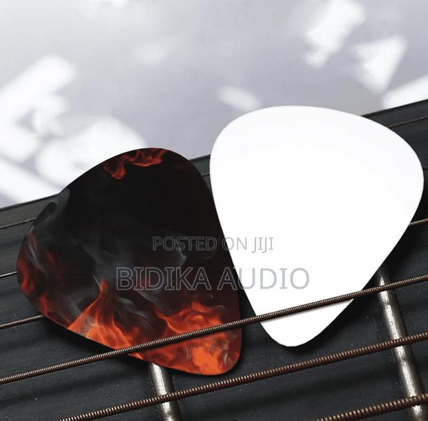 Professional Guitar Plectrum - main view
