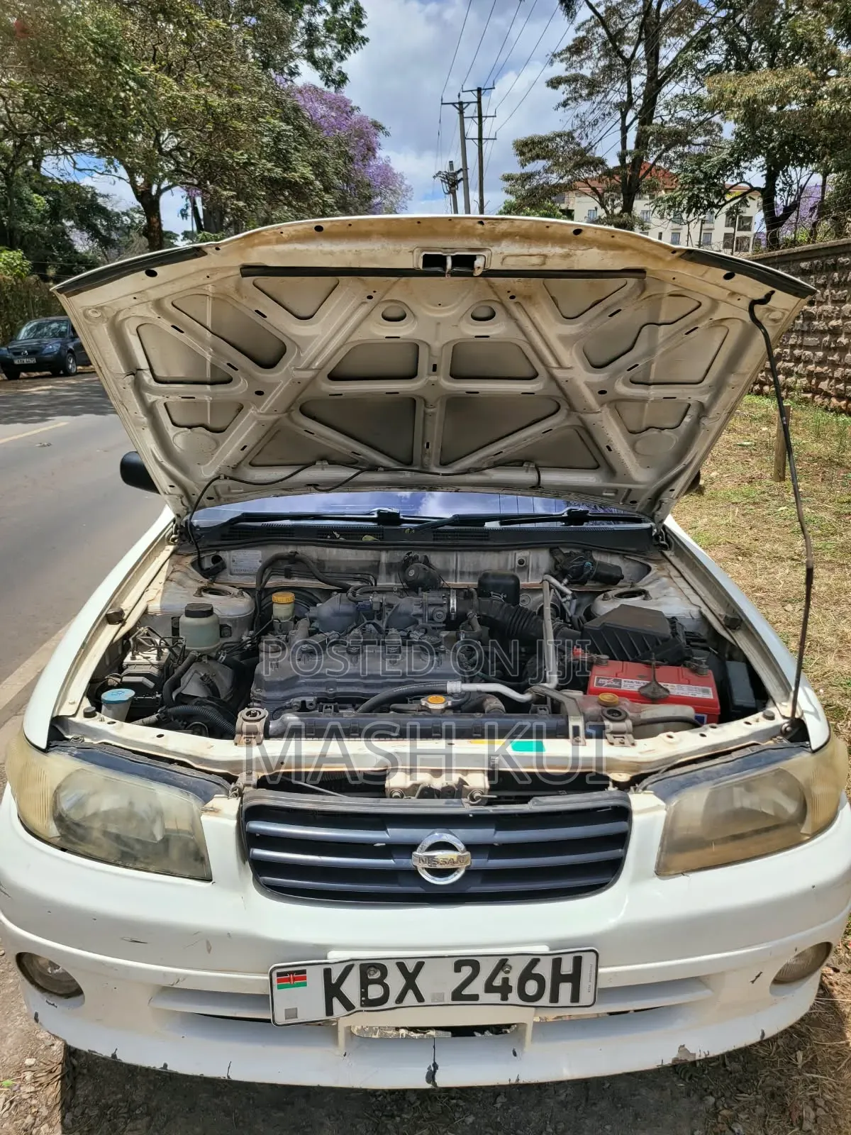 Nissan Cedric 2006 White