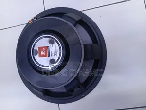 JBL Naked Speaker 15inch