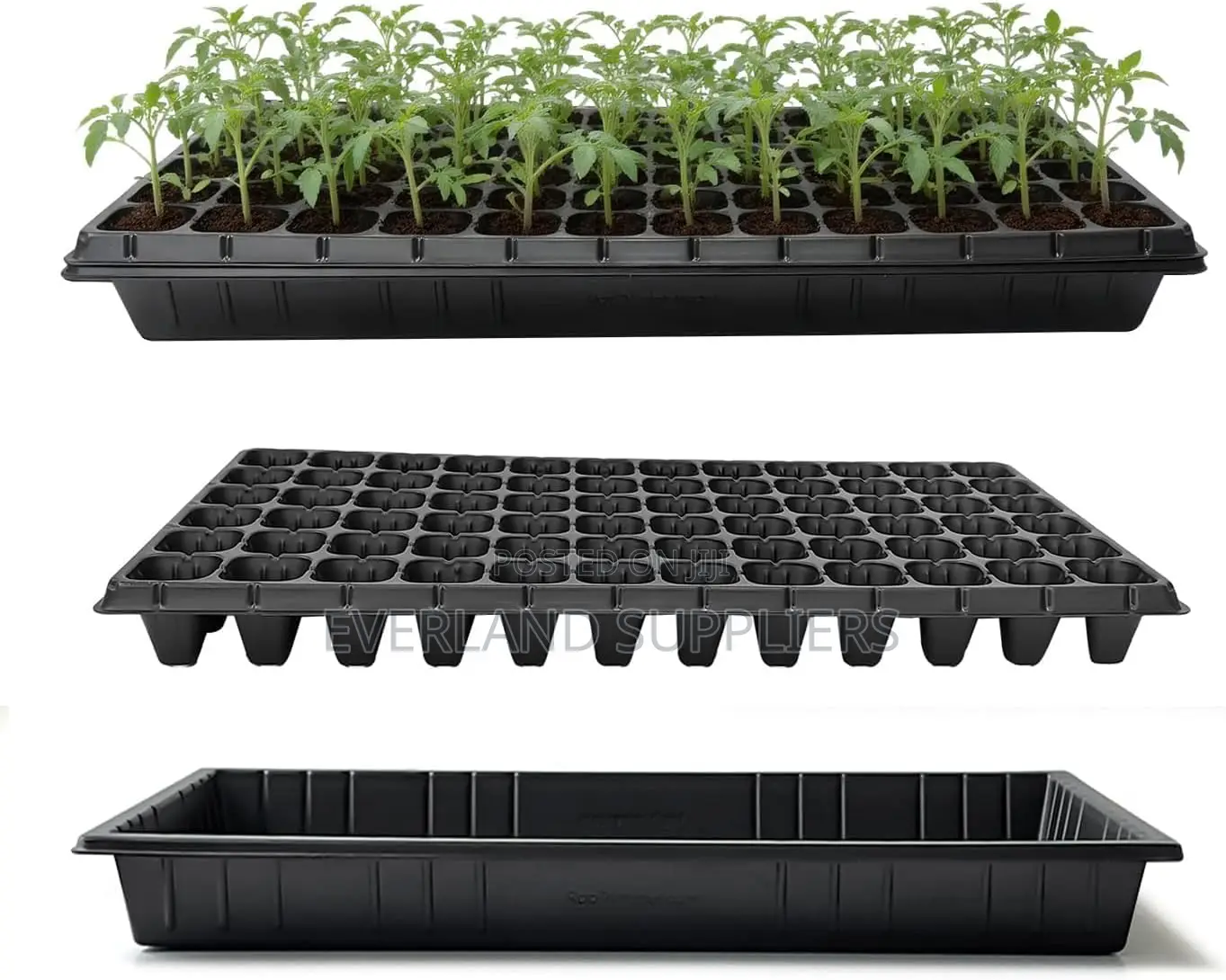 Starting Seedling Trays - Wholesale