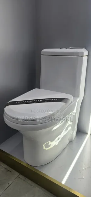 Frencia One Piece/Full Body Toilet (WC-303)