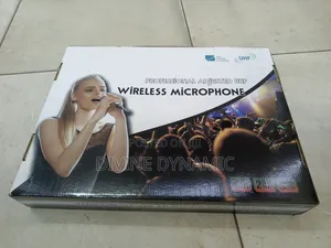 Professional Wireless Microphone 2-1