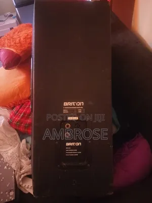 Briton Mid Range Speaker