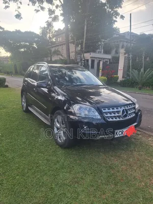 Mercedes-Benz M Class 2010 Black