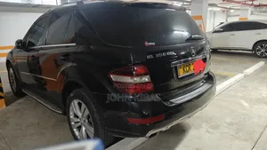 Mercedes-Benz M Class 2010 Black