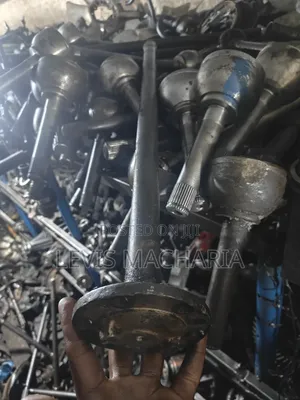 Rear Axle Land Cruiser 79