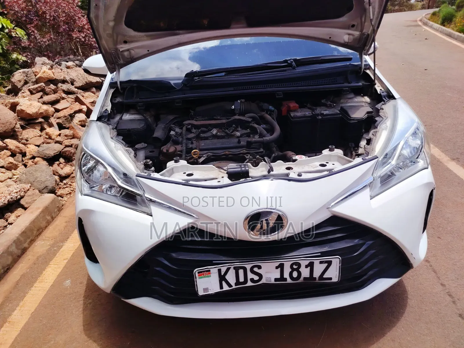 Toyota Vitz 2017 White