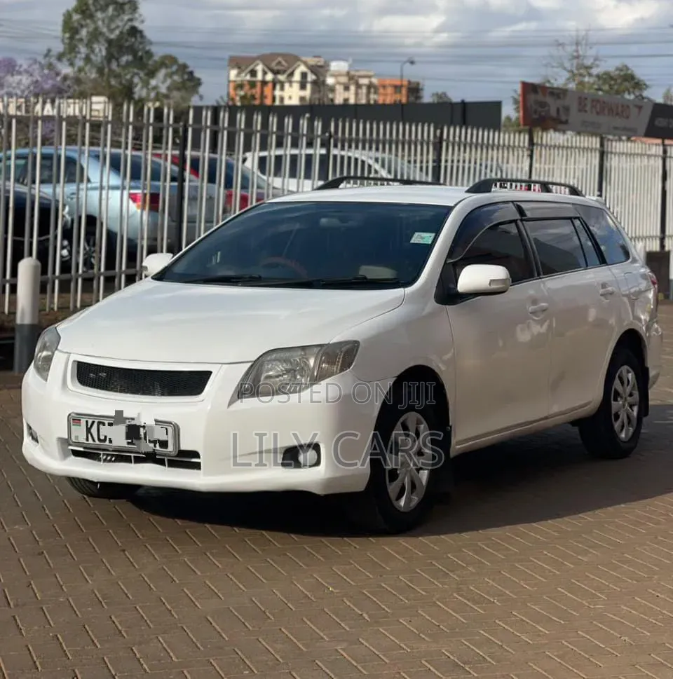 Toyota Corolla Fielder 2008 White