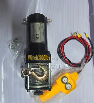 Dc/AC 1350kg Winch/12v or 24V DC Power Electric Winch