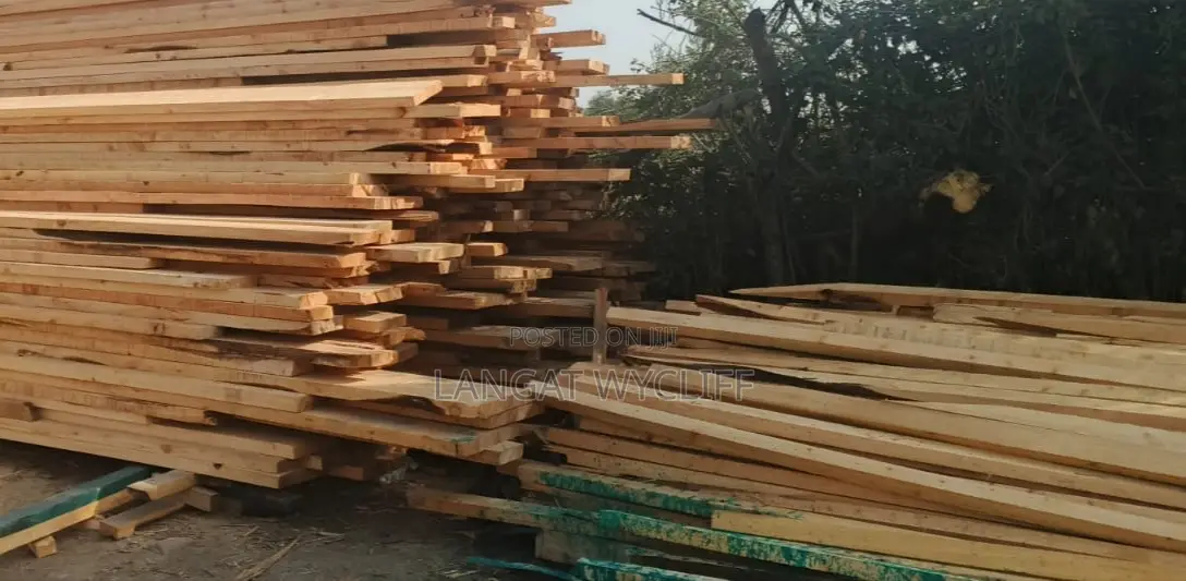 Timber Logs and Poles