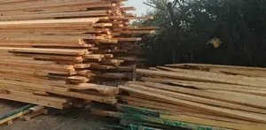 Timber Logs and Poles