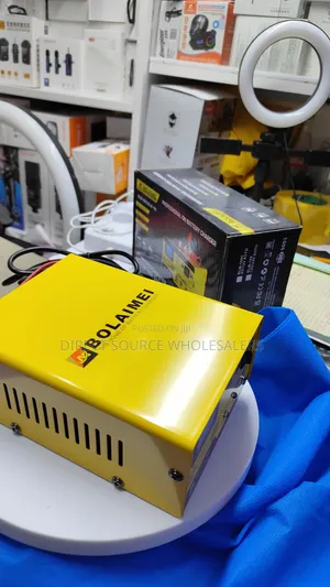 Automatic Battery Charger 0-15a for Car Motorcycle ATV
