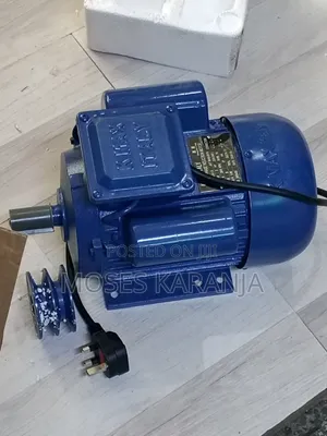 Heavy-Duty Induction Electric Moto