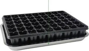 Shallow Cell Seedling Trays - Wholesale