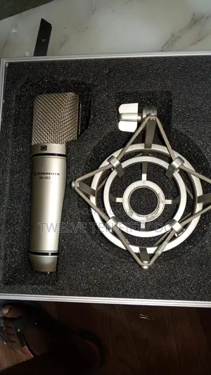 The Last one.Condenser Microphone at Imara Daima Estate
