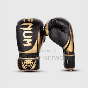 Boxing Gloves Pair 12oz