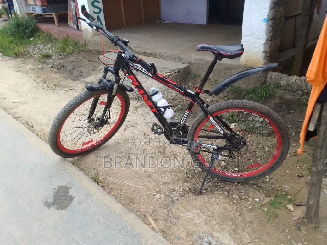 Bicycle Mountain Bike