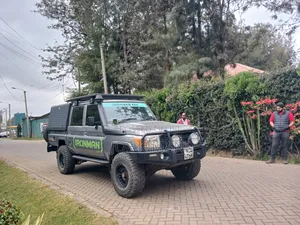 Toyota Land Cruiser 2017 Gray