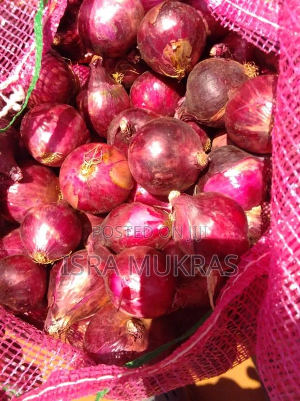 Red Onions Neptune F1.