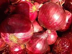 Red Onions Neptune F1.