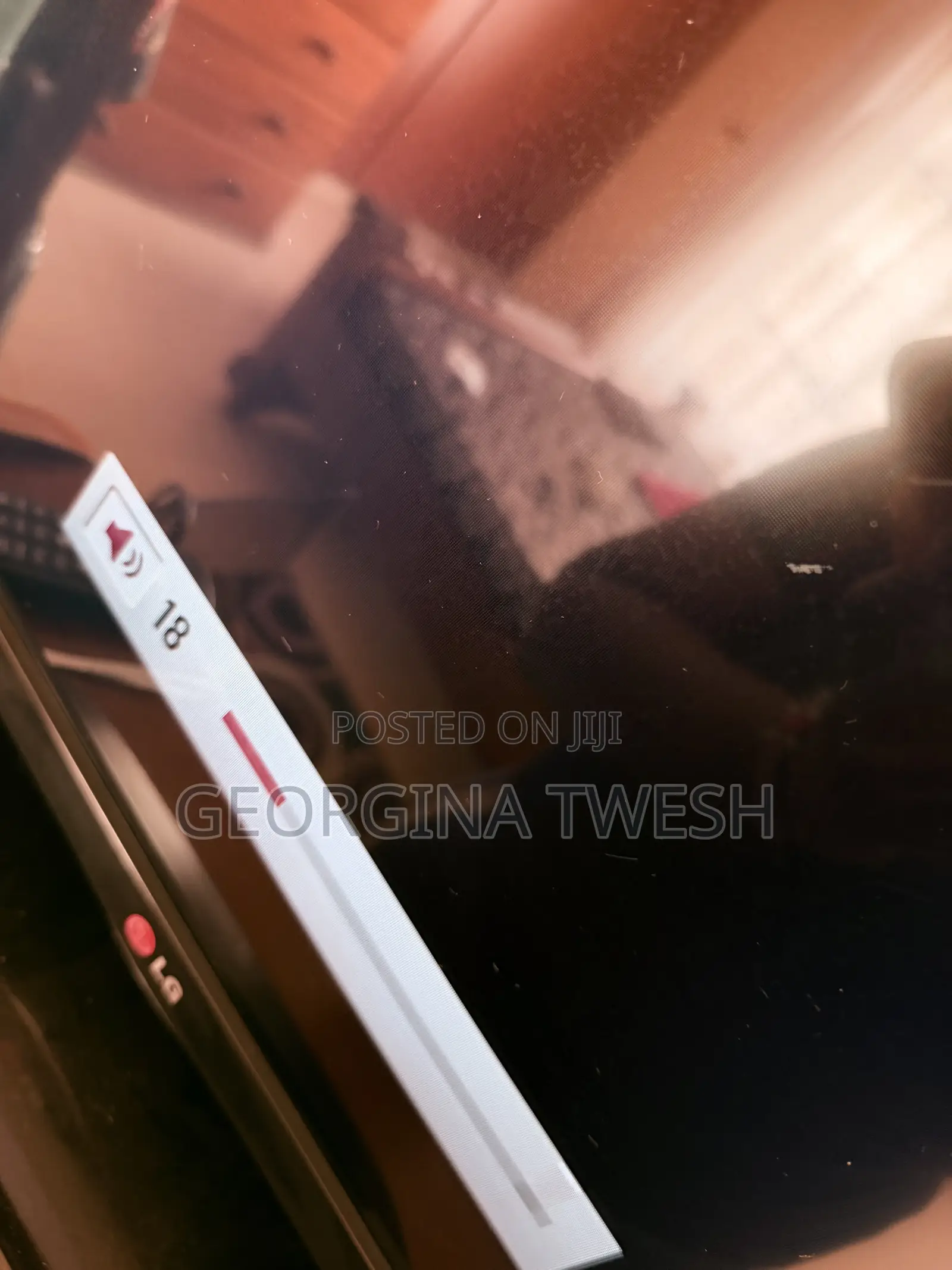 LG 32” LED TV (Non Smart)