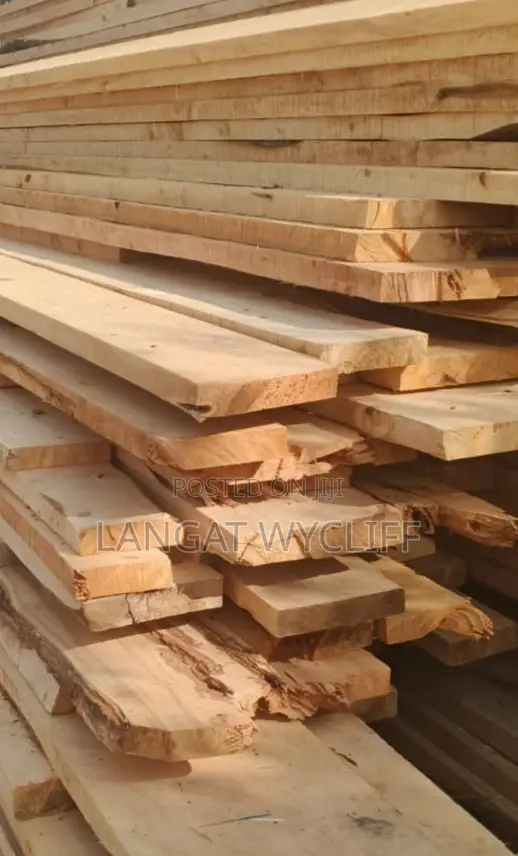 Timber Trails