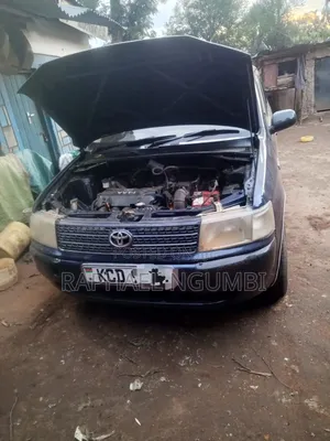 Toyota Succeed 2009 Blue