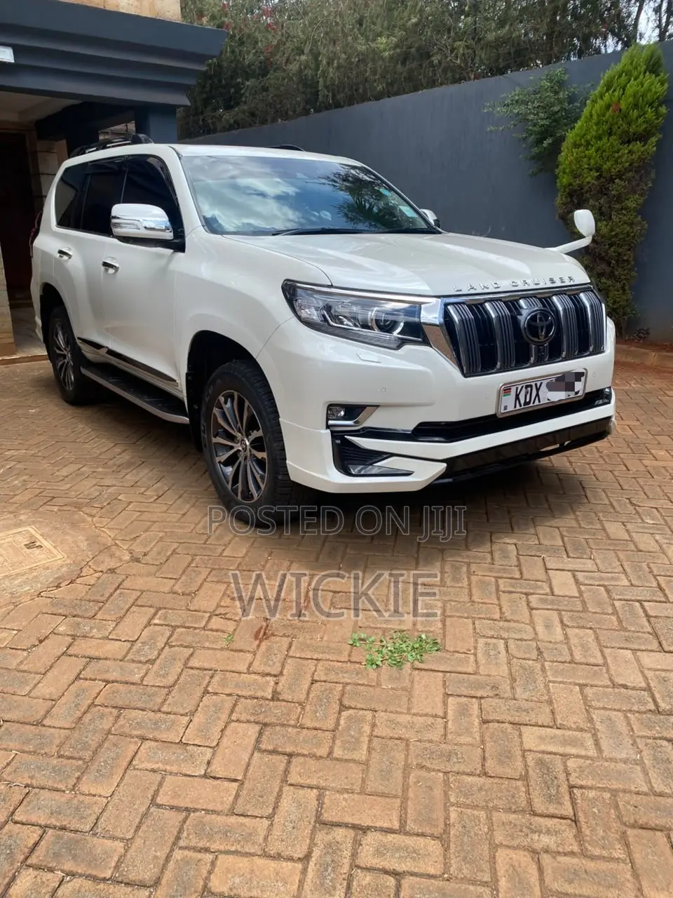Car Hire Services