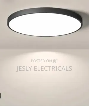 Led Ceiling Light