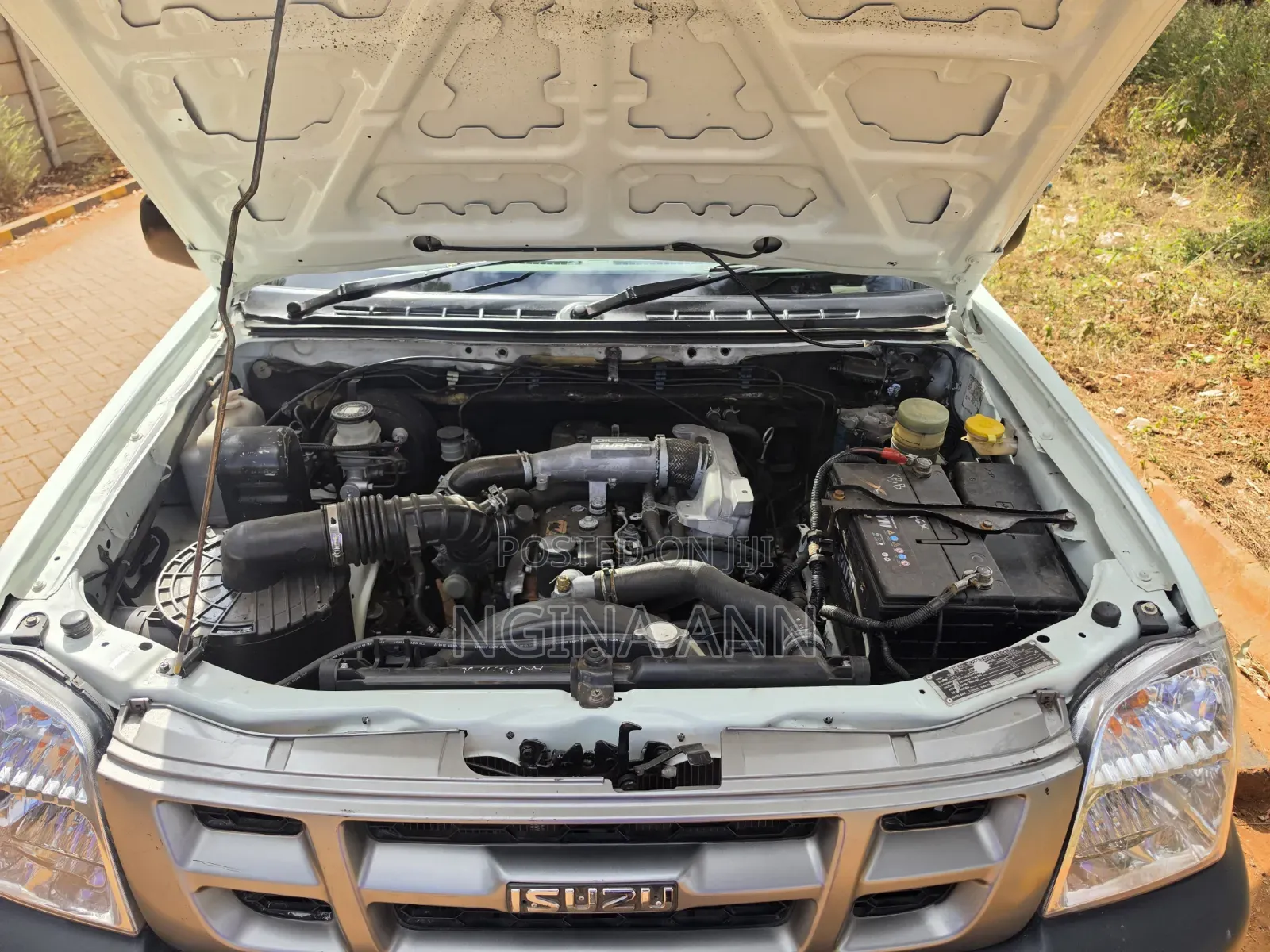 Isuzu D-MAX 2008 White