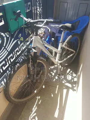 Giant Mountain Bike (26-Inch)