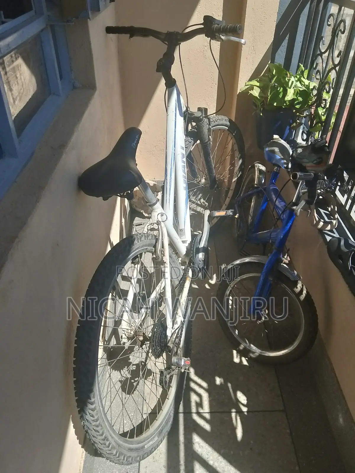 Giant Mountain Bike (26-Inch)