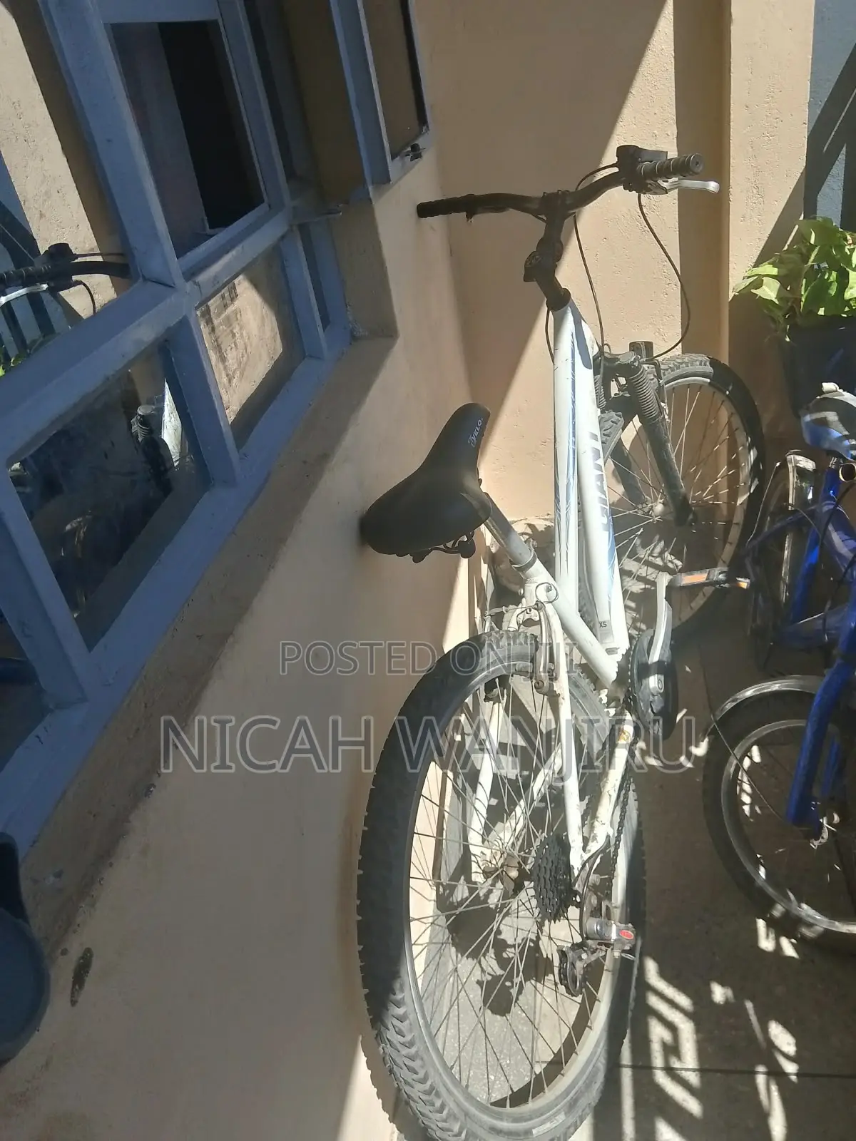 Giant Mountain Bike (26-Inch)
