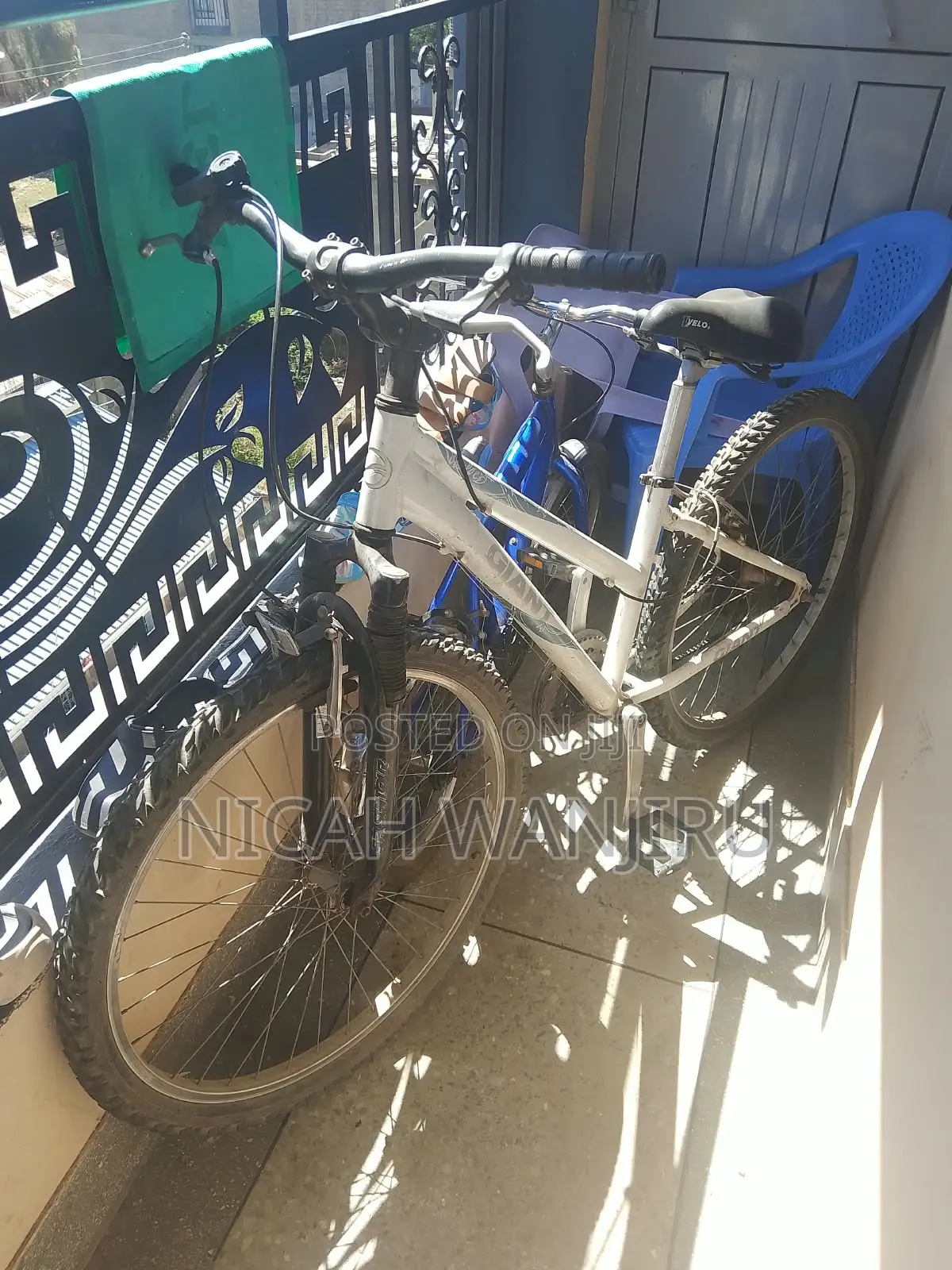 Giant Mountain Bike (26-Inch)