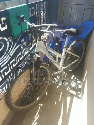 Giant Mountain Bike (26-Inch)