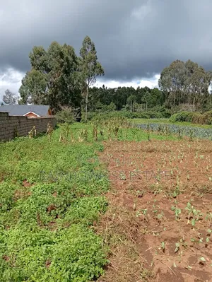 1/2 Acre for Sale - Limuru
