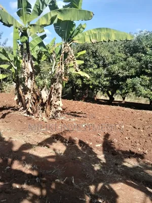 Half an Acre Land on Sale at Makuyu-Ciumbu